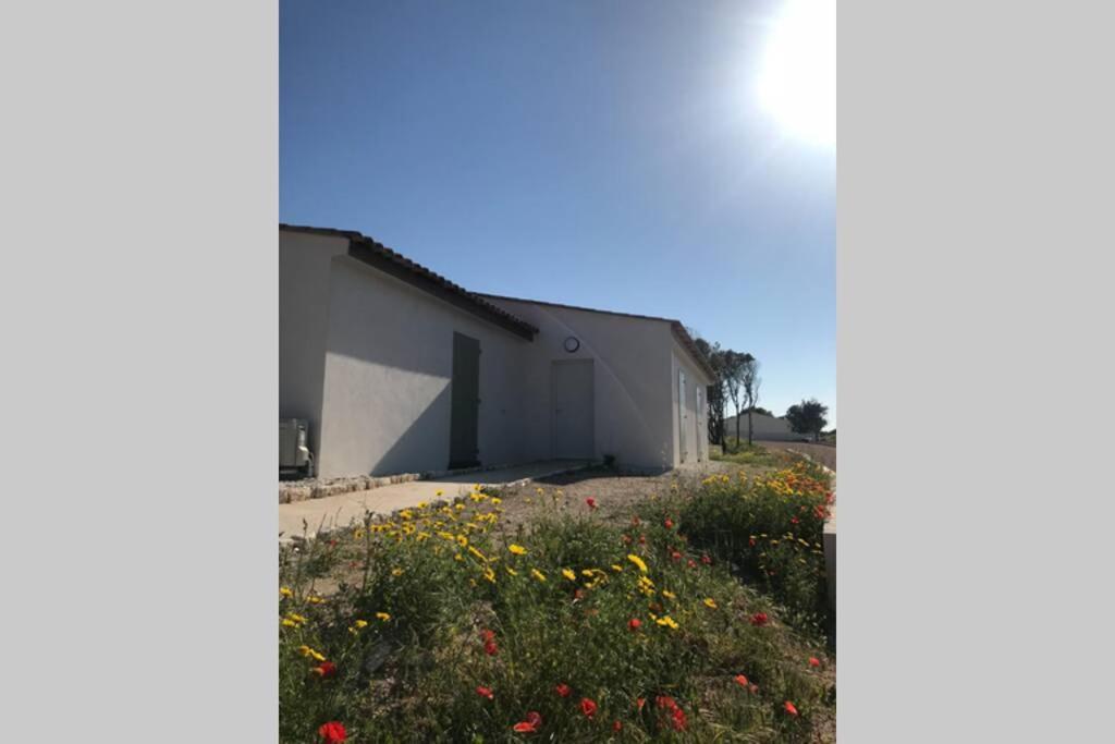 Bonifacio 3Mn Du Port! Villa Piscine Chauffee ,Clim,Wifi Luaran gambar